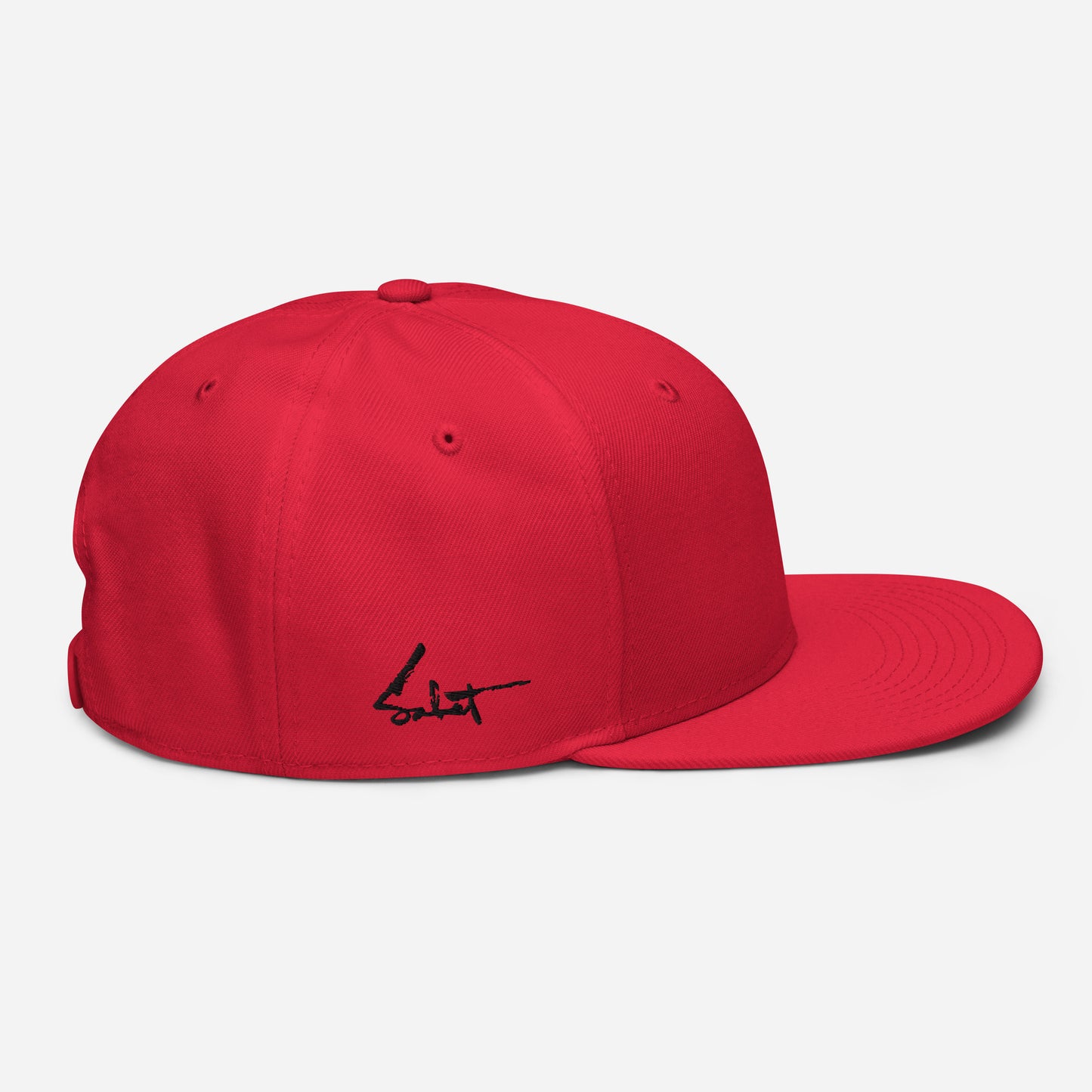 Sabet Skull Snapback Hat